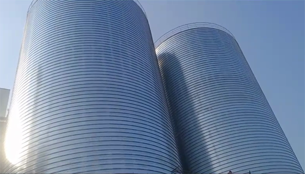 澧县2座混凝土高架卷板仓